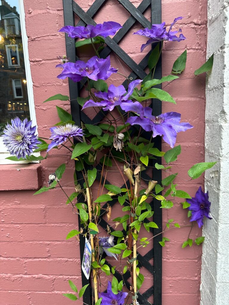 dff53213-307f-4e42-88b9-e626ffc06f7f